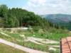 Photo Number 4